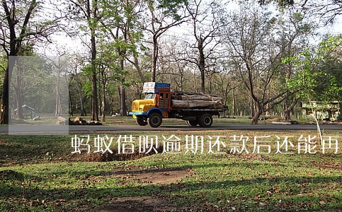 蚂蚁借呗逾期还款后还能再用吗 蚂蚁借呗逾期还款后还能再用吗