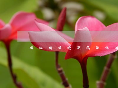 蚂蚁借呗逾期还能使用 蚂蚁借呗逾期还能使用