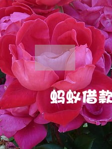 蚂蚁借款逾期2年 蚂蚁借款逾期2年