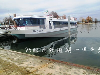 蚂蚁借款逾期一年多少 蚂蚁借款逾期一年多少