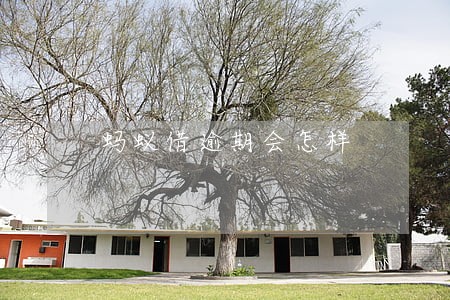 蚂蚁借逾期会怎样 蚂蚁借逾期会怎样