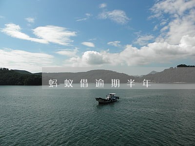 蚂蚁借逾期半年 蚂蚁借逾期半年