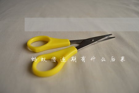 蚂蚁借逾期有什么后果 蚂蚁借逾期有什么后果