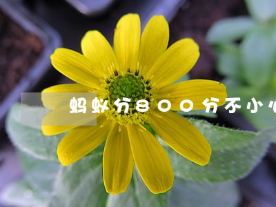 蚂蚁分800分不小心逾期 蚂蚁分800分不小心逾期