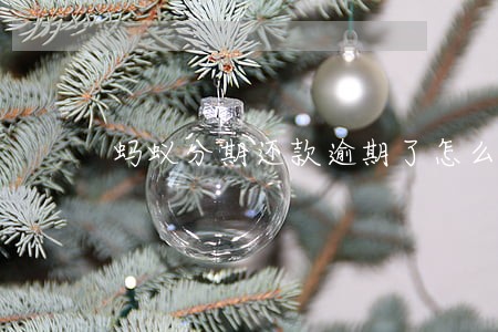 蚂蚁分期还款逾期了怎么办 蚂蚁分期还款逾期了怎么办