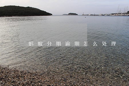 蚂蚁分期逾期怎么处理 蚂蚁分期逾期怎么处理