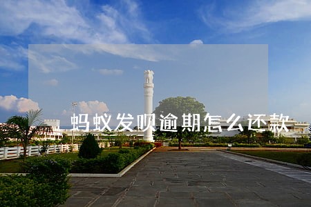 蚂蚁发呗逾期怎么还款 蚂蚁发呗逾期怎么还款
