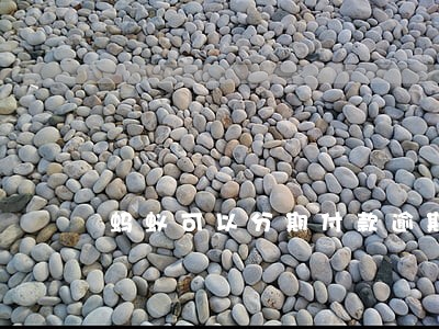 蚂蚁可以分期付款逾期 蚂蚁可以分期付款逾期