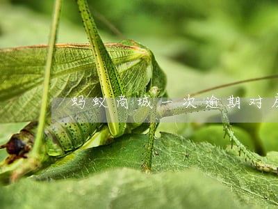 蚂蚁商城一次逾期对房贷有影响 蚂蚁商城一次逾期对房贷有影响
