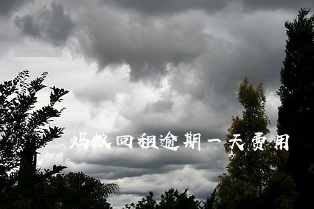 蚂蚁回租逾期一天费用 蚂蚁回租逾期一天费用