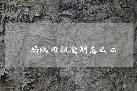 蚂蚁回租逾期怎么办 蚂蚁回租逾期怎么办