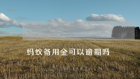 蚂蚁备用金可以逾期吗 蚂蚁备用金可以逾期吗