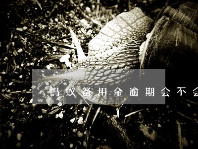 蚂蚁备用金逾期会不会黑户 蚂蚁备用金逾期会不会黑户