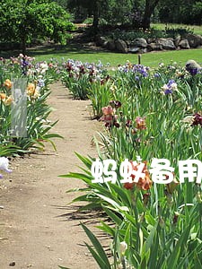 蚂蚁备用金逾期会给家人打电话吗 蚂蚁备用金逾期会给家人打电话吗