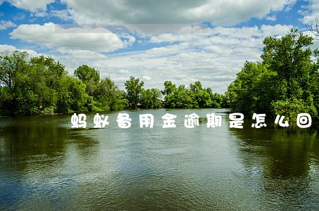 蚂蚁备用金逾期是怎么回事 蚂蚁备用金逾期是怎么回事