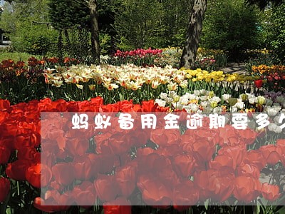 蚂蚁备用金逾期要多久才能用
