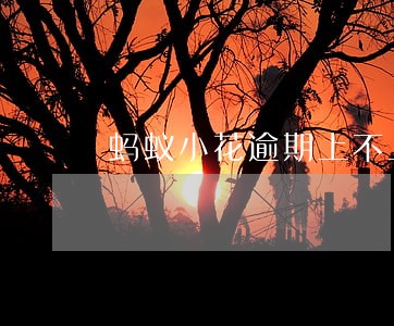 蚂蚁小花逾期上不上正信 蚂蚁小花逾期上不上正信