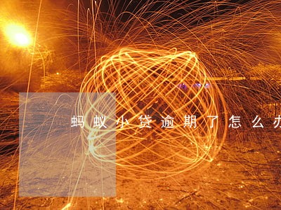 蚂蚁小贷逾期了怎么办 蚂蚁小贷逾期了怎么办