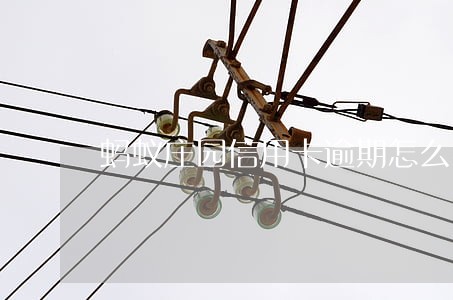 蚂蚁庄园信用卡逾期怎么办 蚂蚁庄园信用卡逾期怎么办