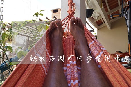 蚂蚁庄园可以查信用卡逾期吗 蚂蚁庄园可以查信用卡逾期吗