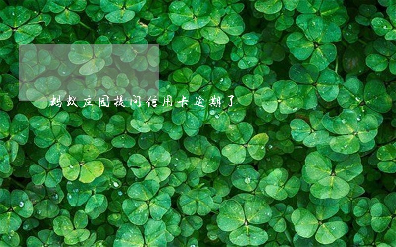蚂蚁庄园提问信用卡逾期了 蚂蚁庄园提问信用卡逾期了