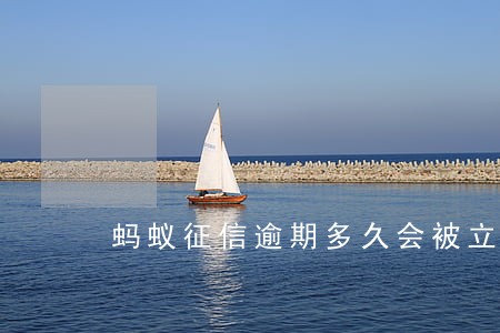 蚂蚁征信逾期多久会被立案 蚂蚁征信逾期多久会被立案