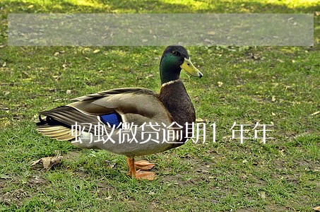 蚂蚁微贷逾期1年年 蚂蚁微贷逾期1年年