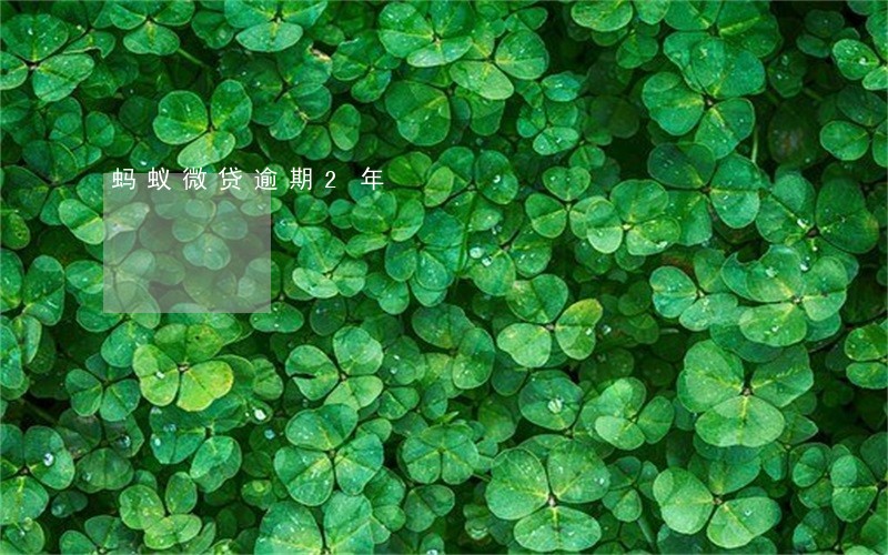 蚂蚁微贷逾期2年 蚂蚁微贷逾期2年