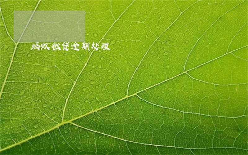 蚂蚁微贷逾期处理 蚂蚁微贷逾期处理