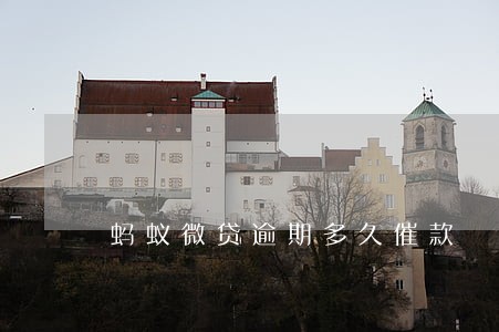 蚂蚁微贷逾期多久催款 蚂蚁微贷逾期多久催款