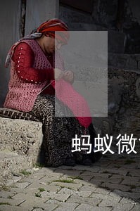蚂蚁微贷逾期花呗关闭了 蚂蚁微贷逾期花呗关闭了