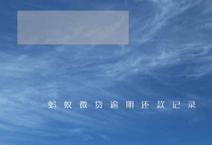 蚂蚁微贷逾期还款记录 蚂蚁微贷逾期还款记录