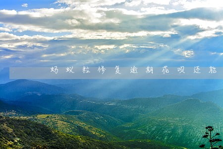 蚂蚁粒修复逾期花呗还能用吗 蚂蚁粒修复逾期花呗还能用吗