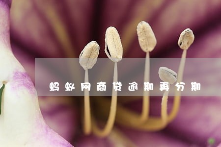 蚂蚁网商贷逾期再分期 蚂蚁网商贷逾期再分期