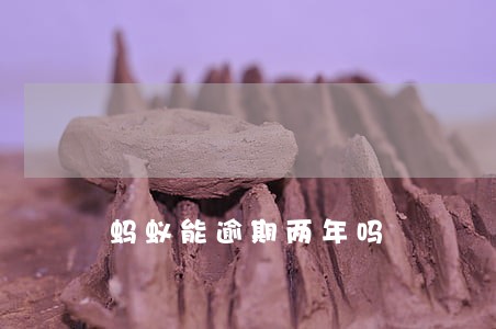 蚂蚁能逾期两年吗 蚂蚁能逾期两年吗