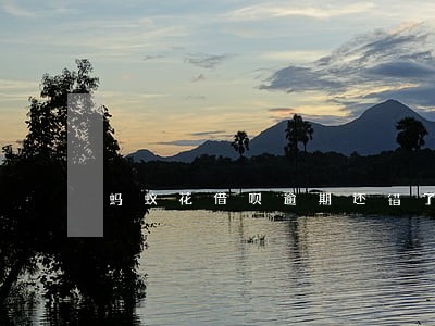 蚂蚁花借呗逾期还错了怎么办 蚂蚁花借呗逾期还错了怎么办