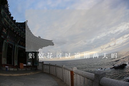 蚂蚁花可以逾期两天吗 蚂蚁花可以逾期两天吗