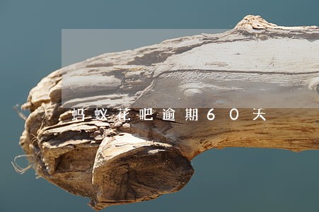 蚂蚁花吧逾期60天 蚂蚁花吧逾期60天