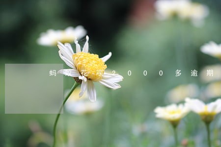 蚂蚁花呗2000多逾期两年 蚂蚁花呗2000多逾期两年