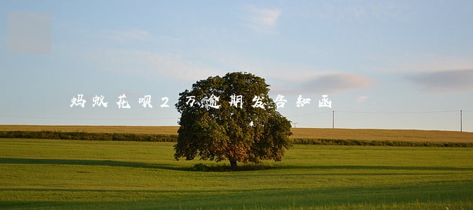 蚂蚁花呗2万逾期发告知函 蚂蚁花呗2万逾期发告知函