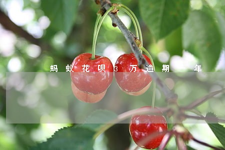 蚂蚁花呗3万逾期一年 蚂蚁花呗3万逾期一年