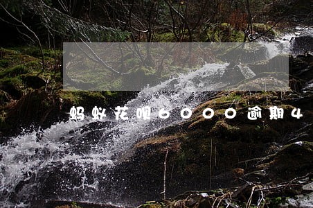 蚂蚁花呗6000逾期4个月 蚂蚁花呗6000逾期4个月