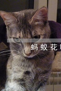 蚂蚁花呗9号当天还款算不算逾期