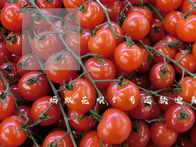 蚂蚁花呗9号还款逾期 蚂蚁花呗9号还款逾期
