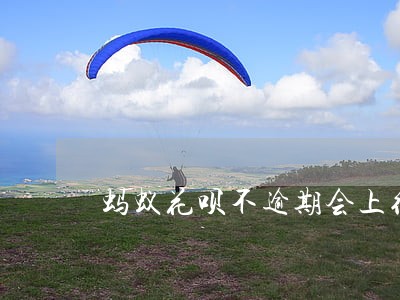 蚂蚁花呗不逾期会上征信 蚂蚁花呗不逾期会上征信