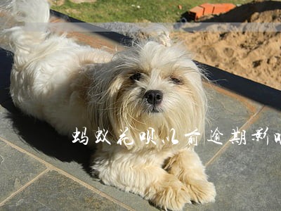 蚂蚁花呗以前逾期影响征信吗