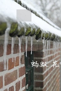 蚂蚁花呗借一万逾期算多少利息