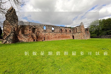 蚂蚁花呗借呗最多可以逾期多久 蚂蚁花呗借呗最多可以逾期多久