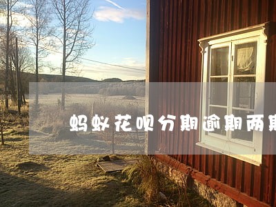 蚂蚁花呗分期逾期两期 蚂蚁花呗分期逾期两期