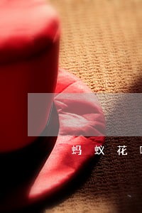 蚂蚁花呗分期逾期了怎么办 蚂蚁花呗分期逾期了怎么办